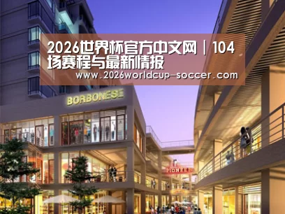 案例展示一(图1)