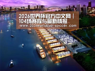 案例展示八