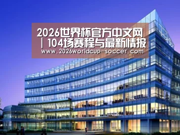 案例展示五