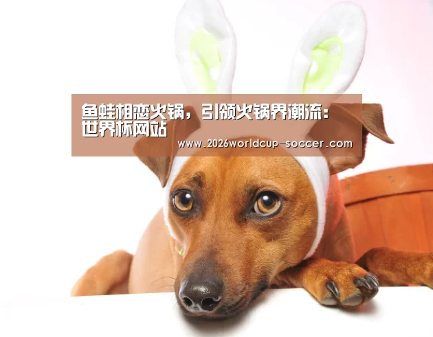 世界杯网站